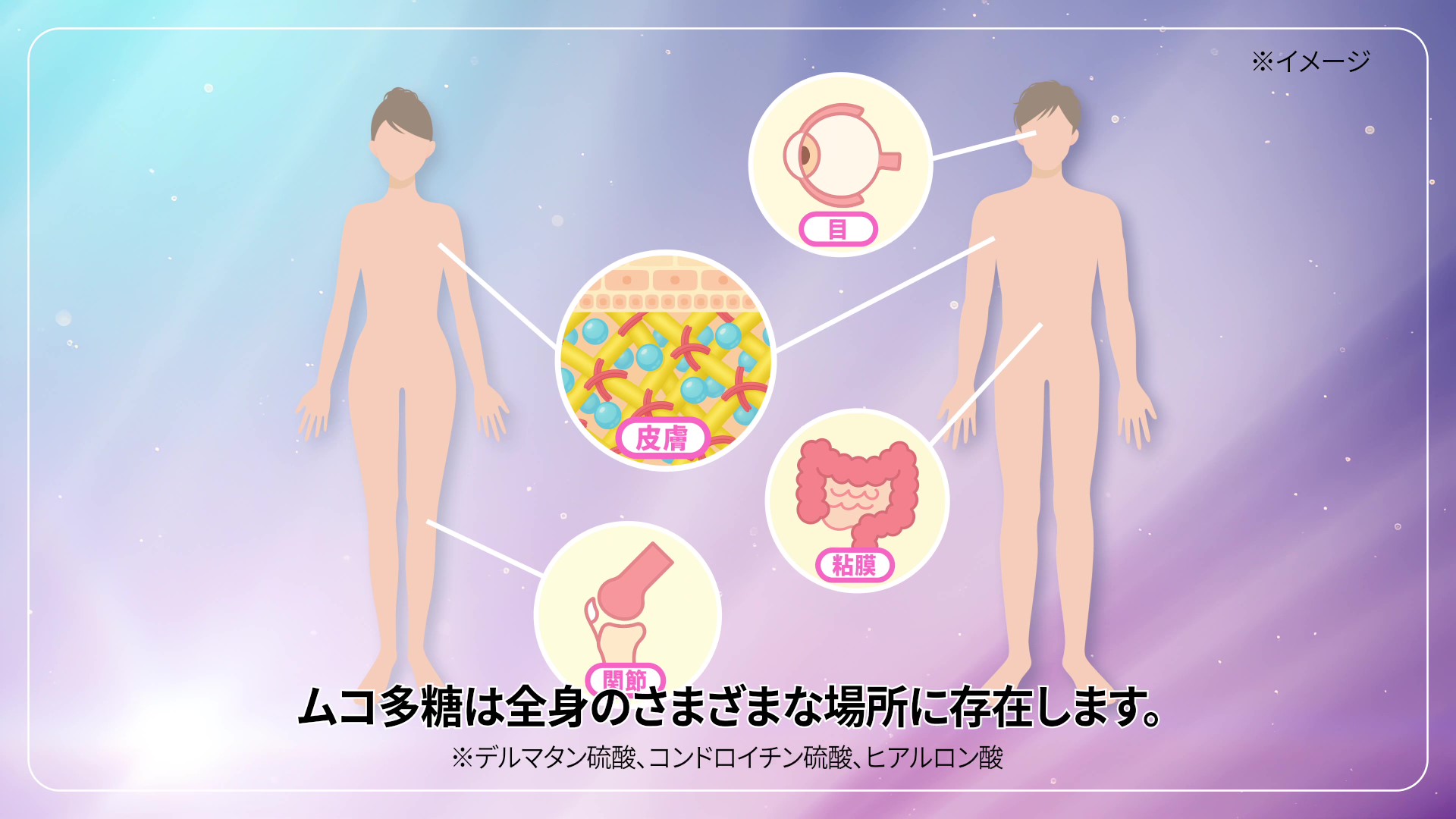 SHININGME（シャイニングミー） | QVC TVショッピングで話題の